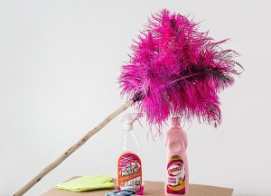 feather-duster-709124_1920